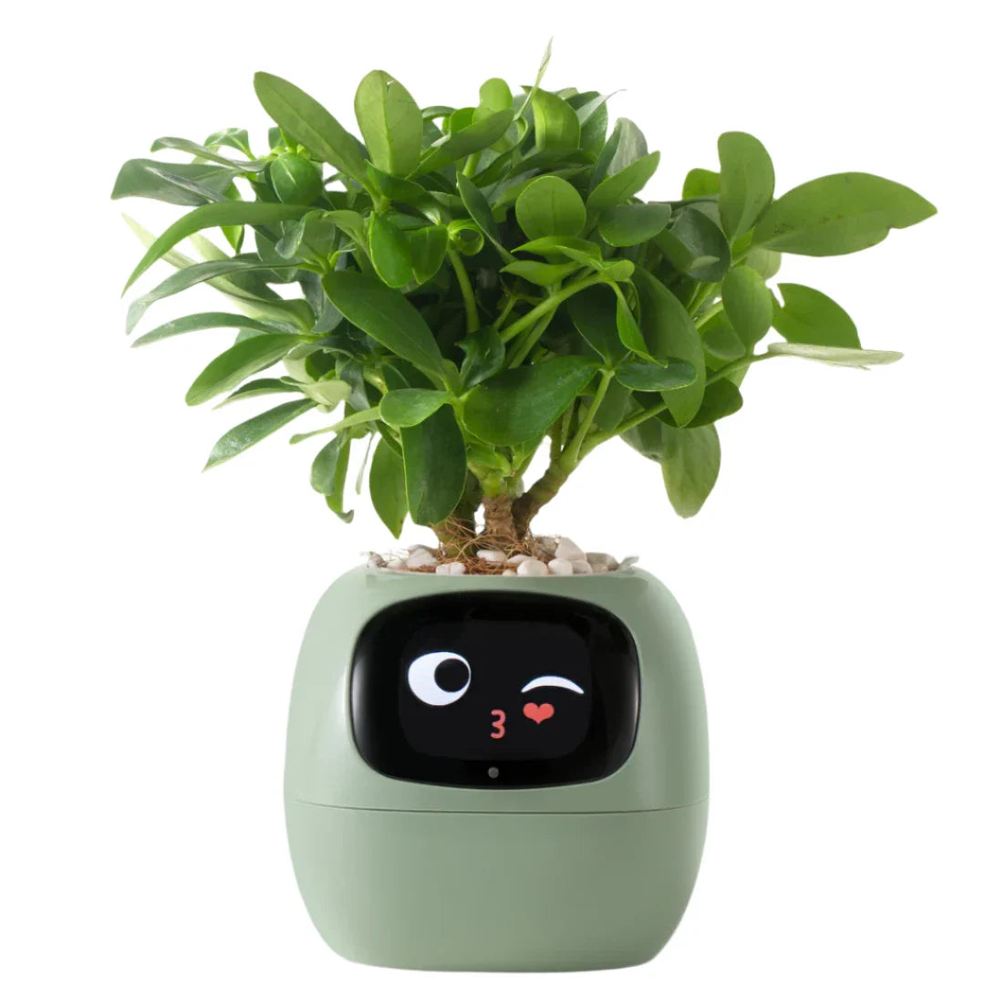Ivy Self-Watering Smart Planter