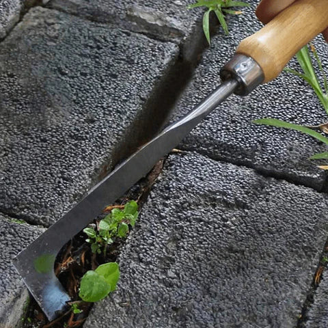 Sharp Crevice Weeding & Slicing Tool