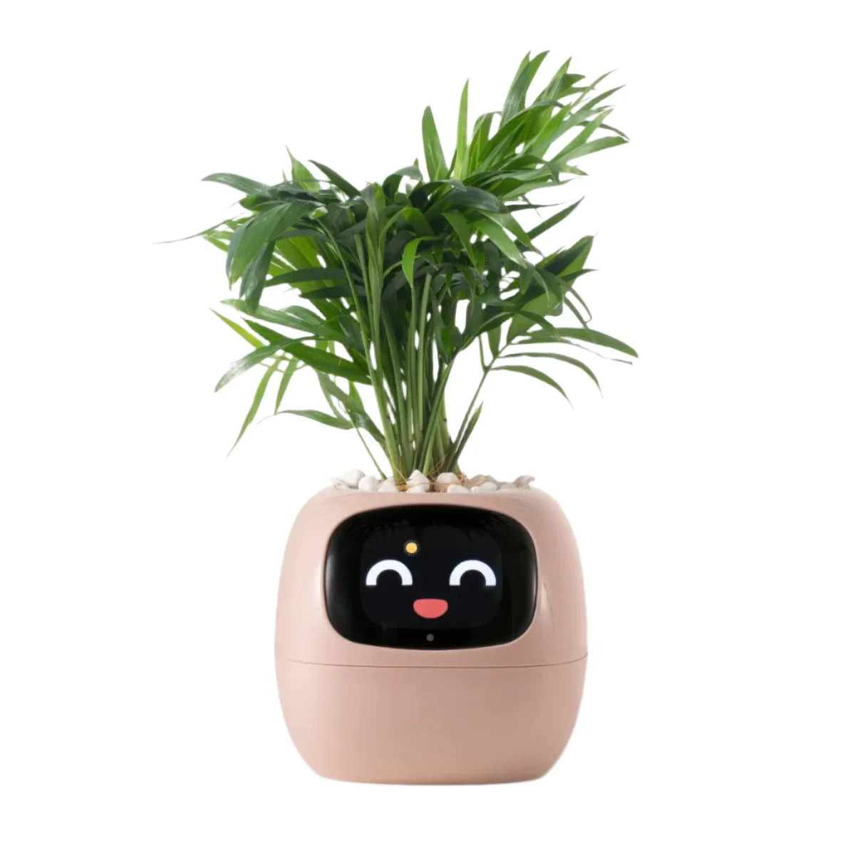 Ivy Self-Watering Smart Planter