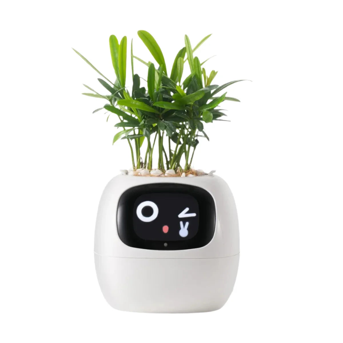 Ivy Self-Watering Smart Planter