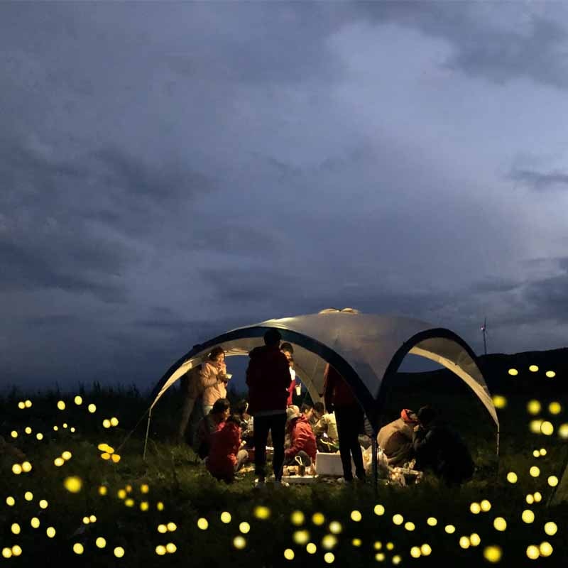 Solar Powered Firefly Garden Lights