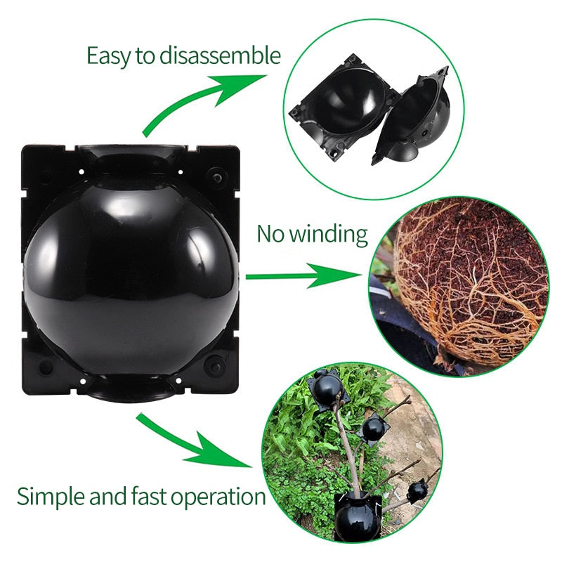 Plant Propagation Balls for Quick Cloning