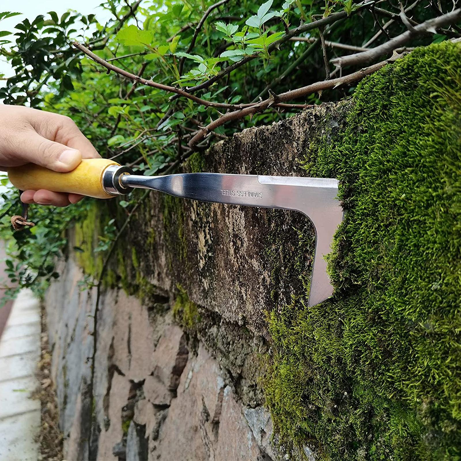 Sharp Crevice Weeding & Slicing Tool