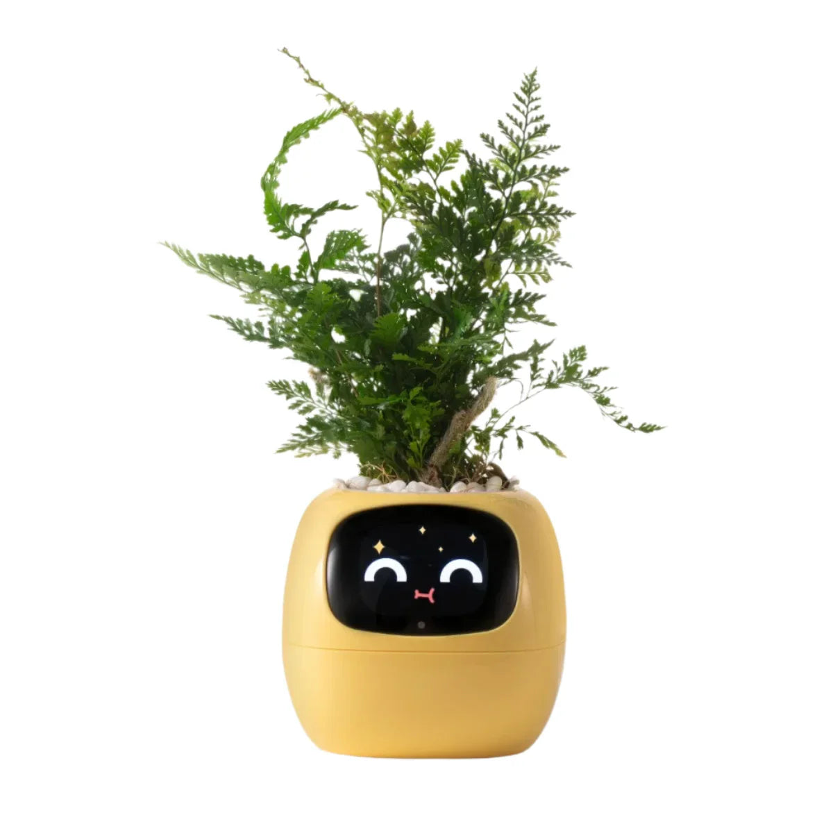 Ivy Self-Watering Smart Planter
