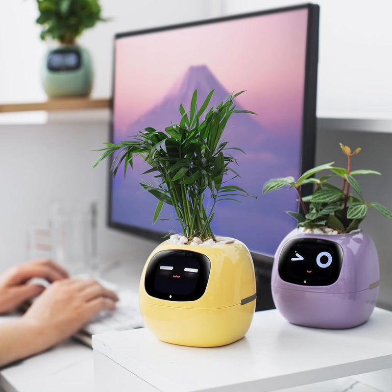 Ivy Self-Watering Smart Planter