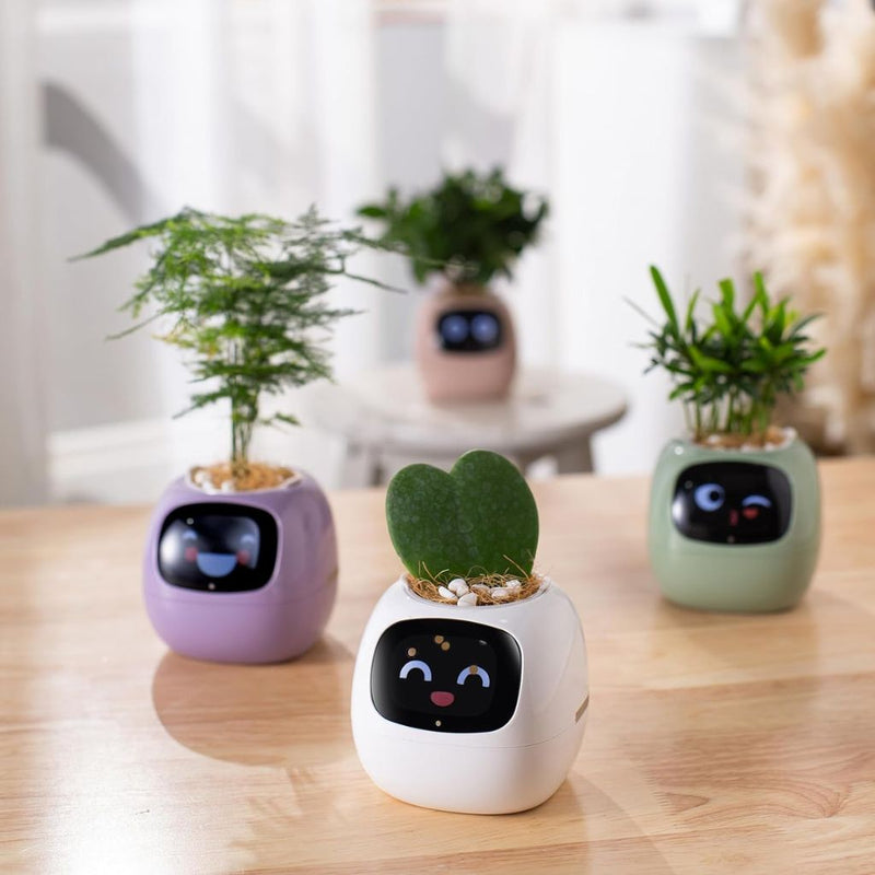 Ivy Self-Watering Smart Planter