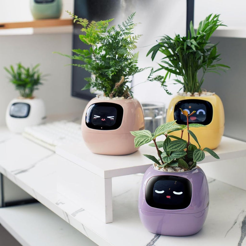 Ivy Self-Watering Smart Planter