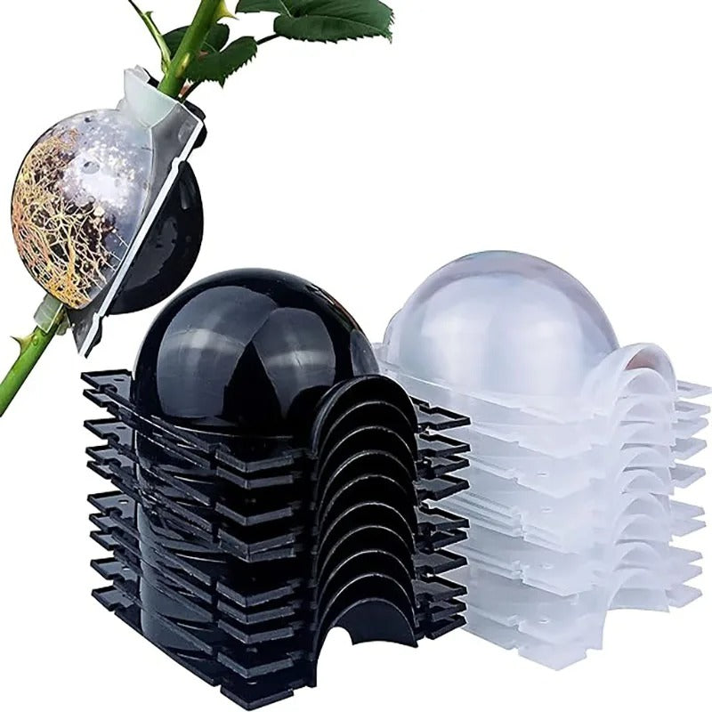 Plant Propagation Balls for Quick Cloning