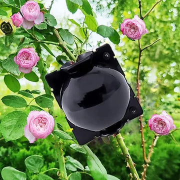 Plant Propagation Balls for Quick Cloning