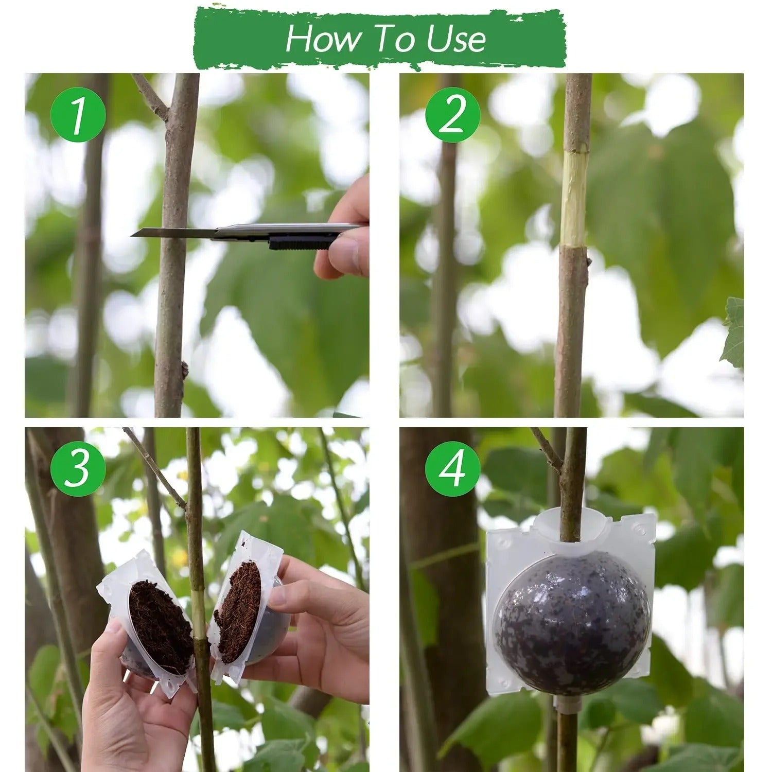 Plant Propagation Balls for Quick Cloning