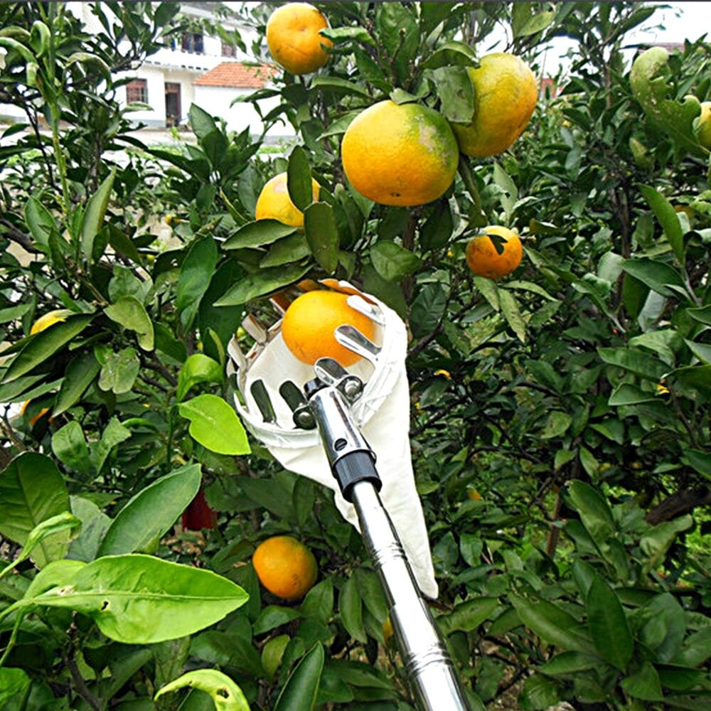 Fruit Picker Head Basket