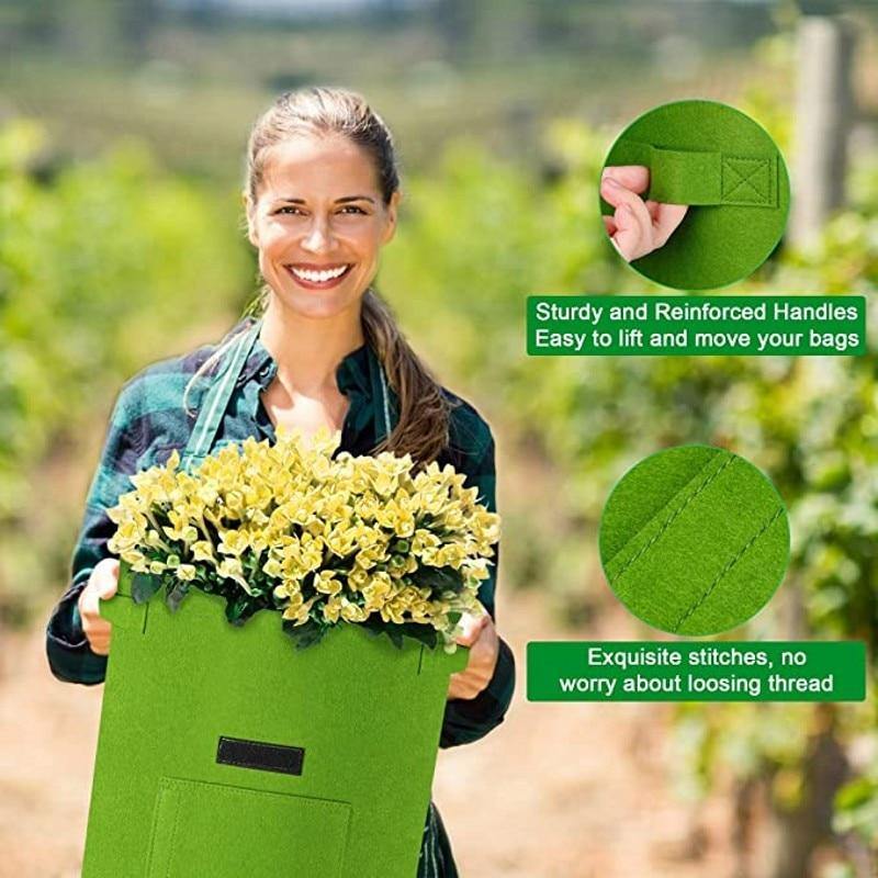 Vegetable Grow Bag